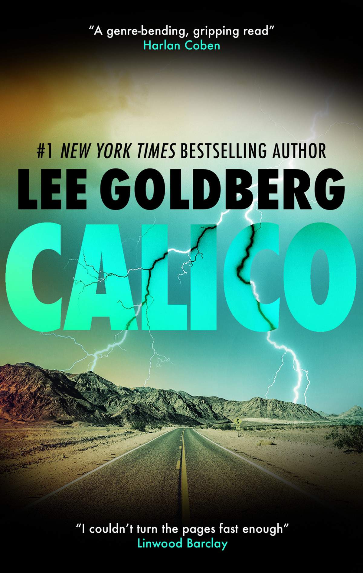 Calico Lee Goldberg