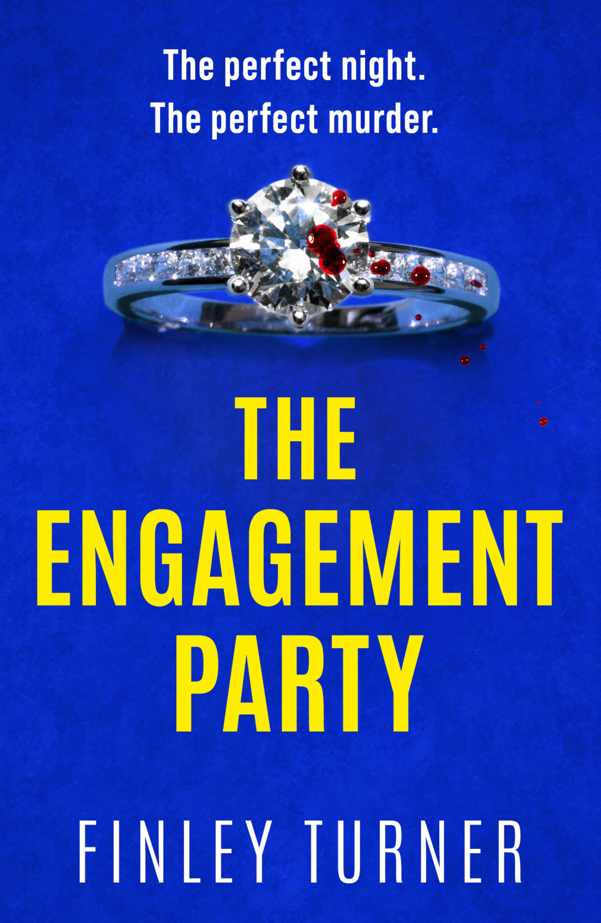 The Engagement Party Finley Turner