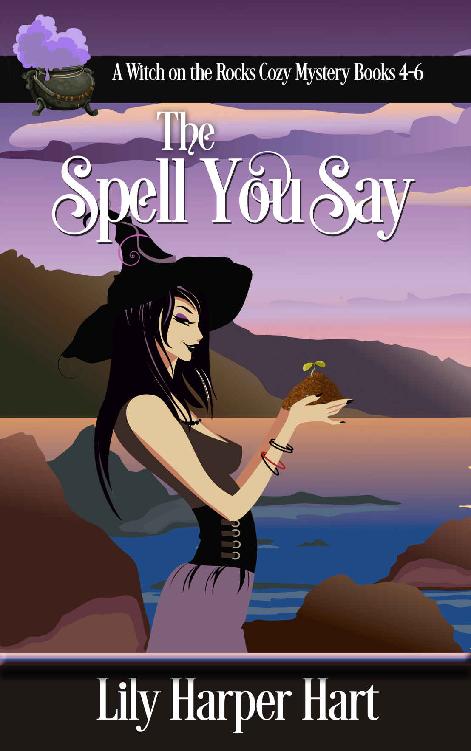 The Spell You Say Witch On The Rocks Cozy Mystery 46 Lily Harper Hart