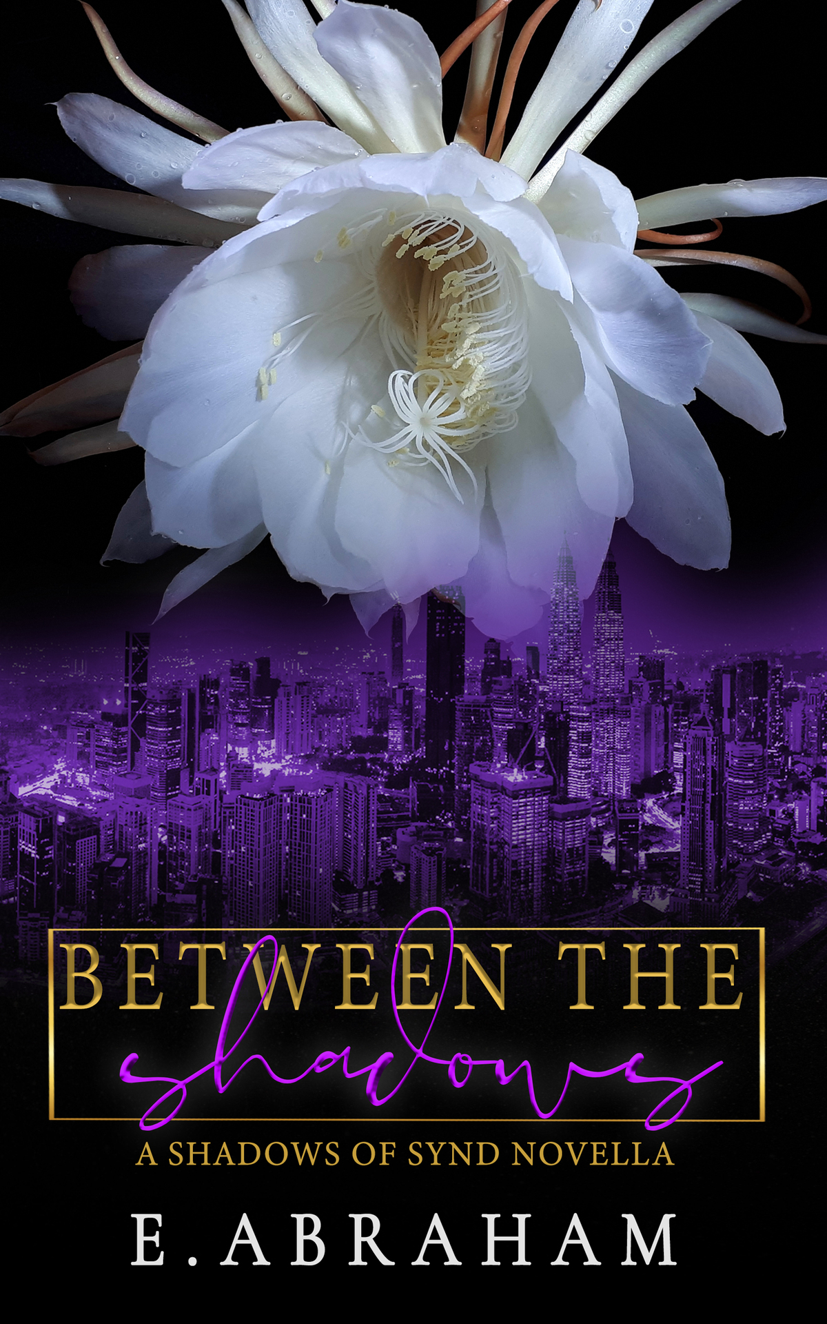 Between The Shadows A Shadows Of Synd Novella Abraham E
