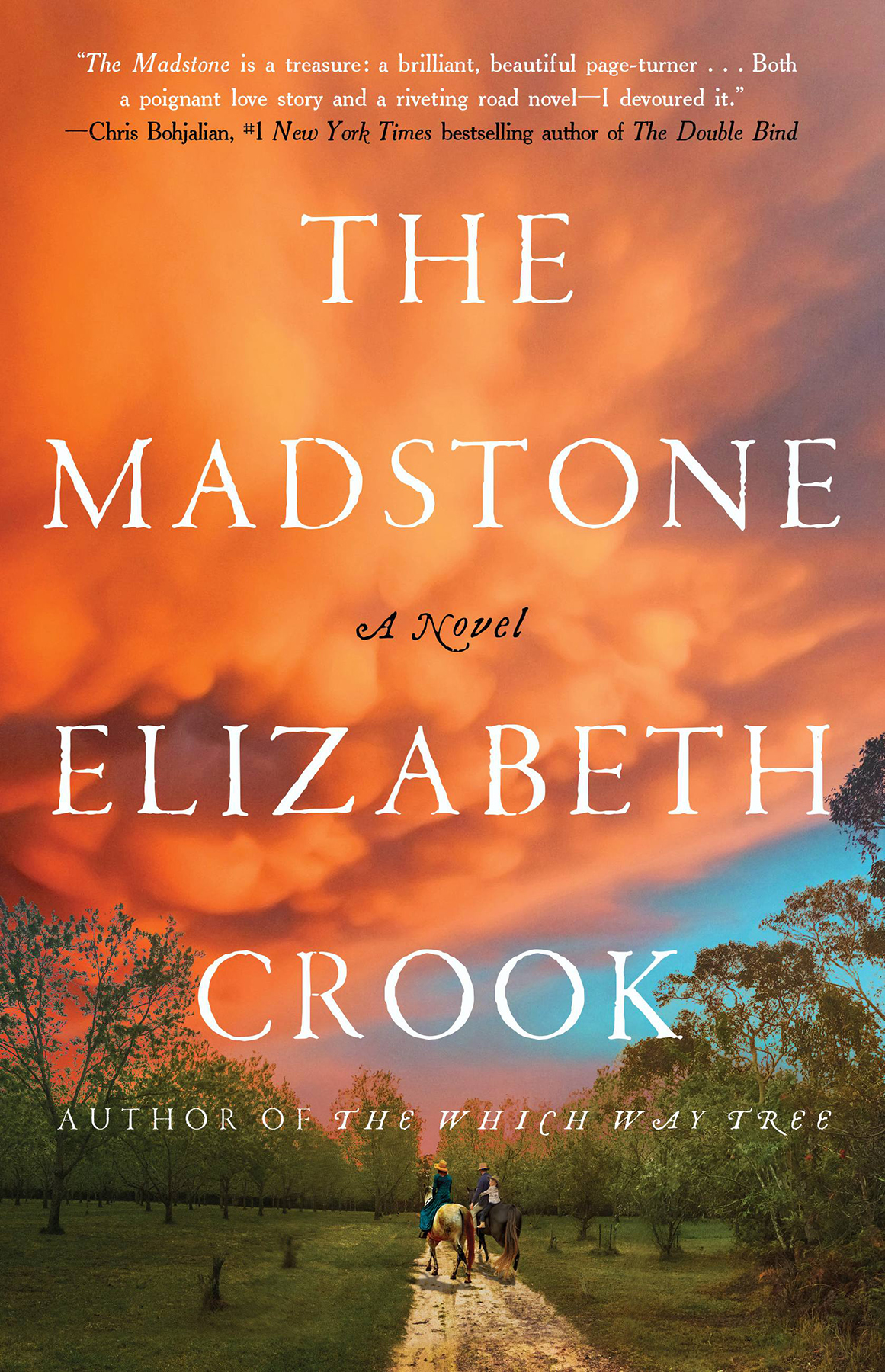 The Madstone Elizabeth Crook