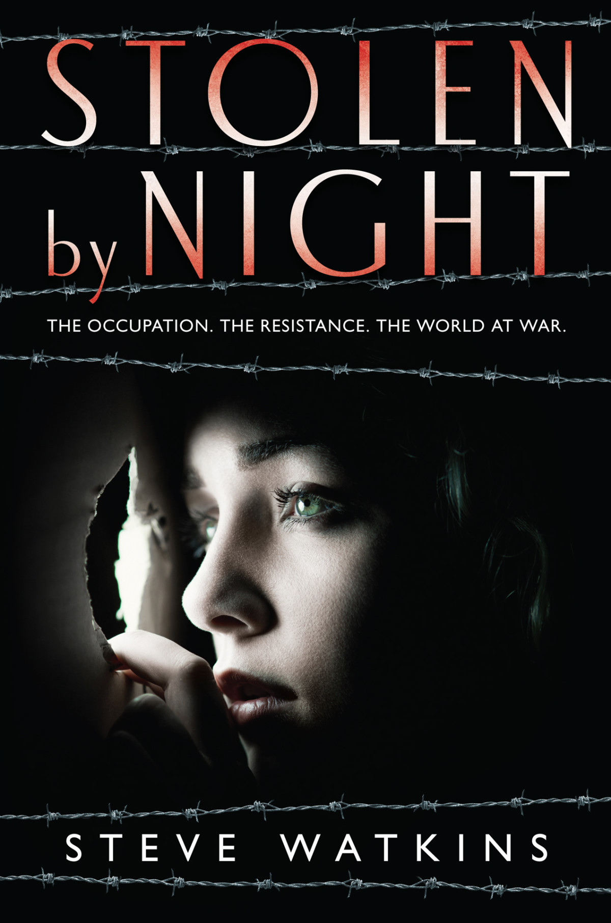 Stolen By Night Steve Watkins