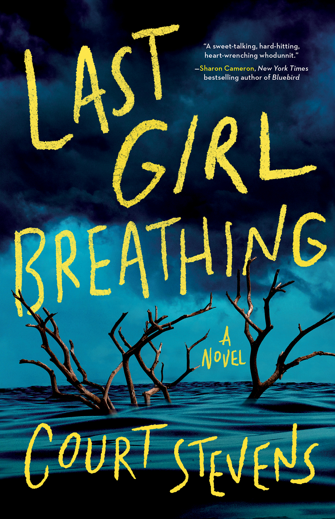 Last Girl Breathing Court Stevens