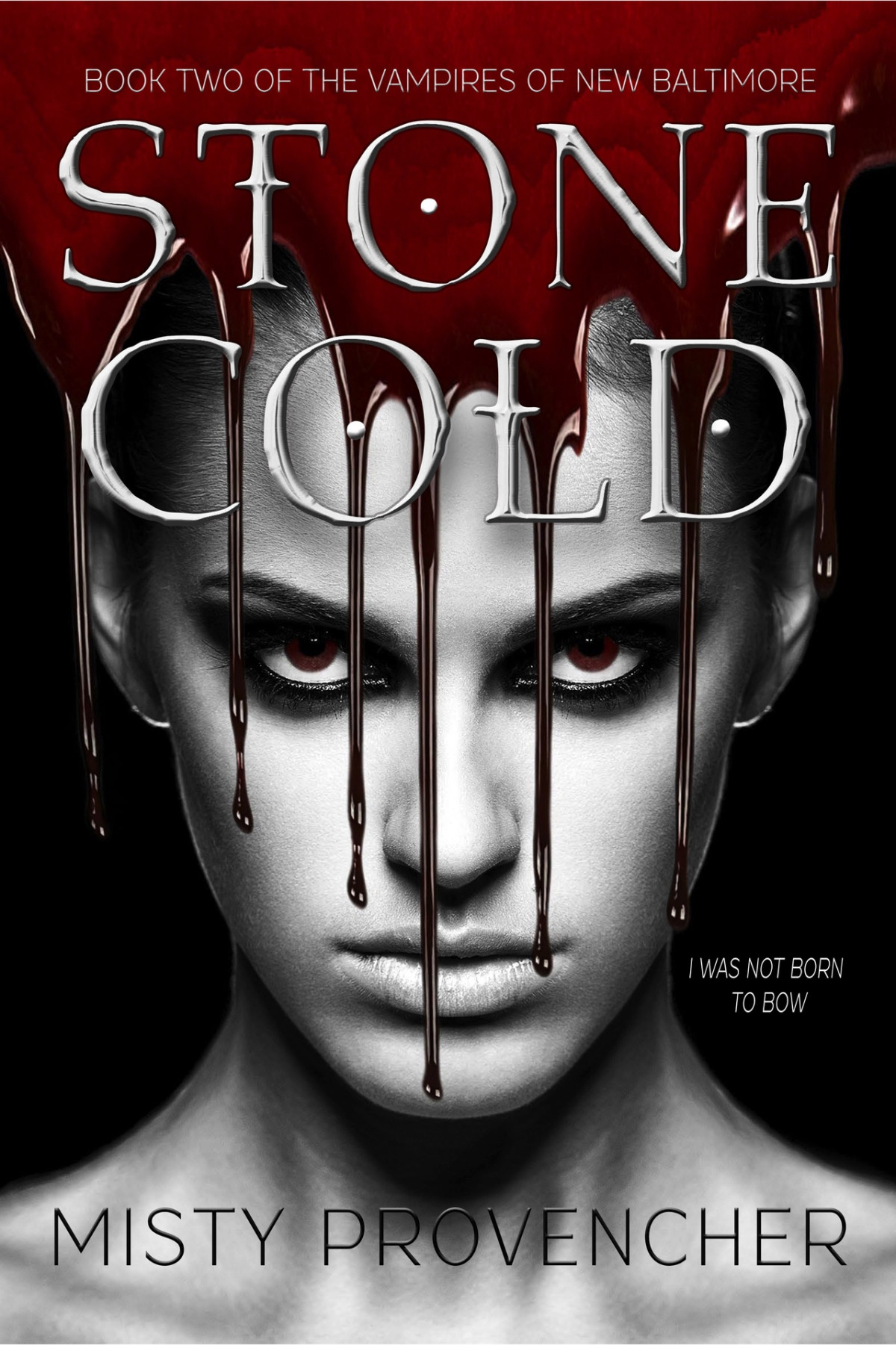 Stone Cold The Vampires Of New Baltimore Book 2 Misty Provencher