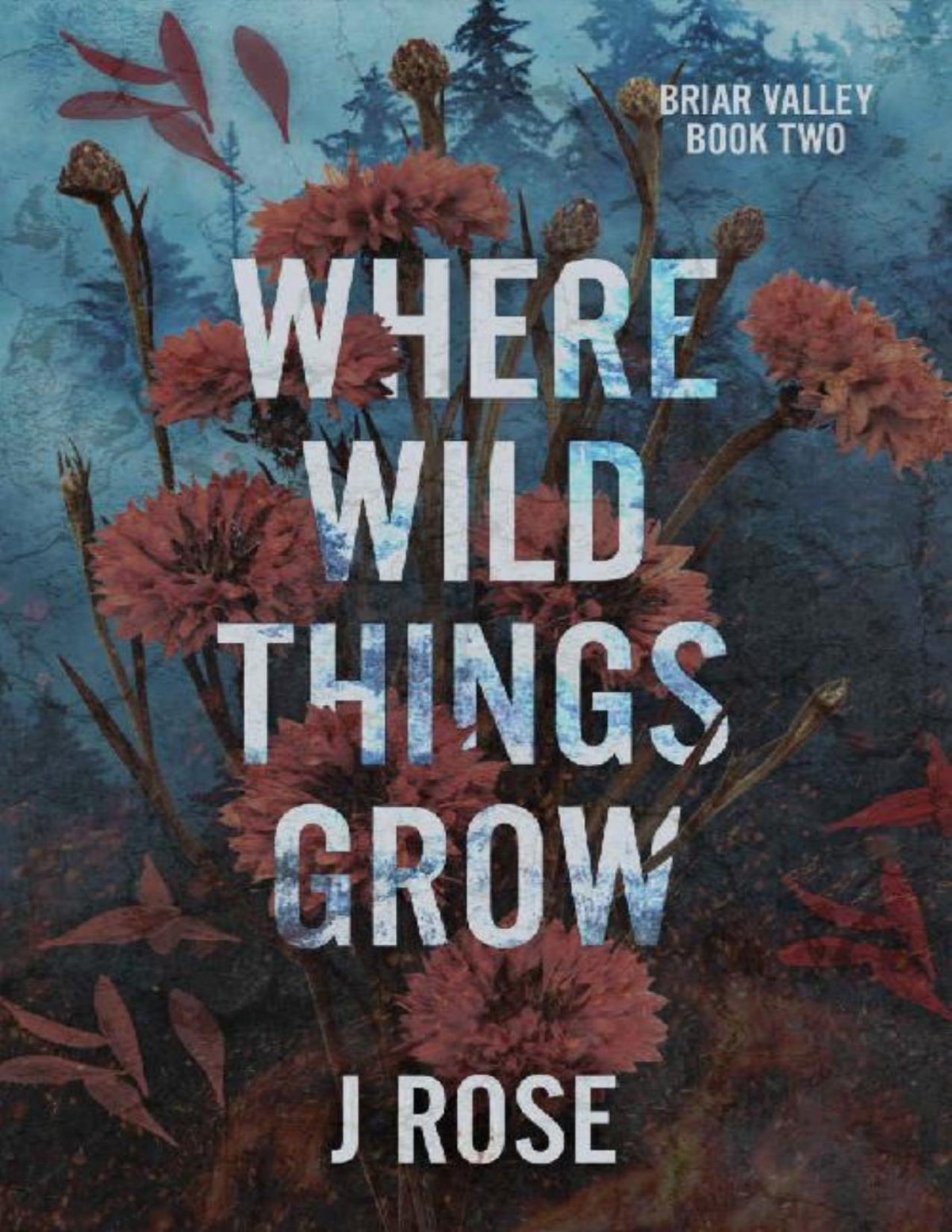 Where Wild Things Grow A Small Town Reverse Harem Romance J Rose