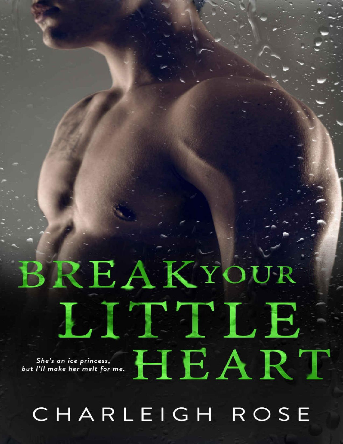Break Your Little Heart Charleigh Rose