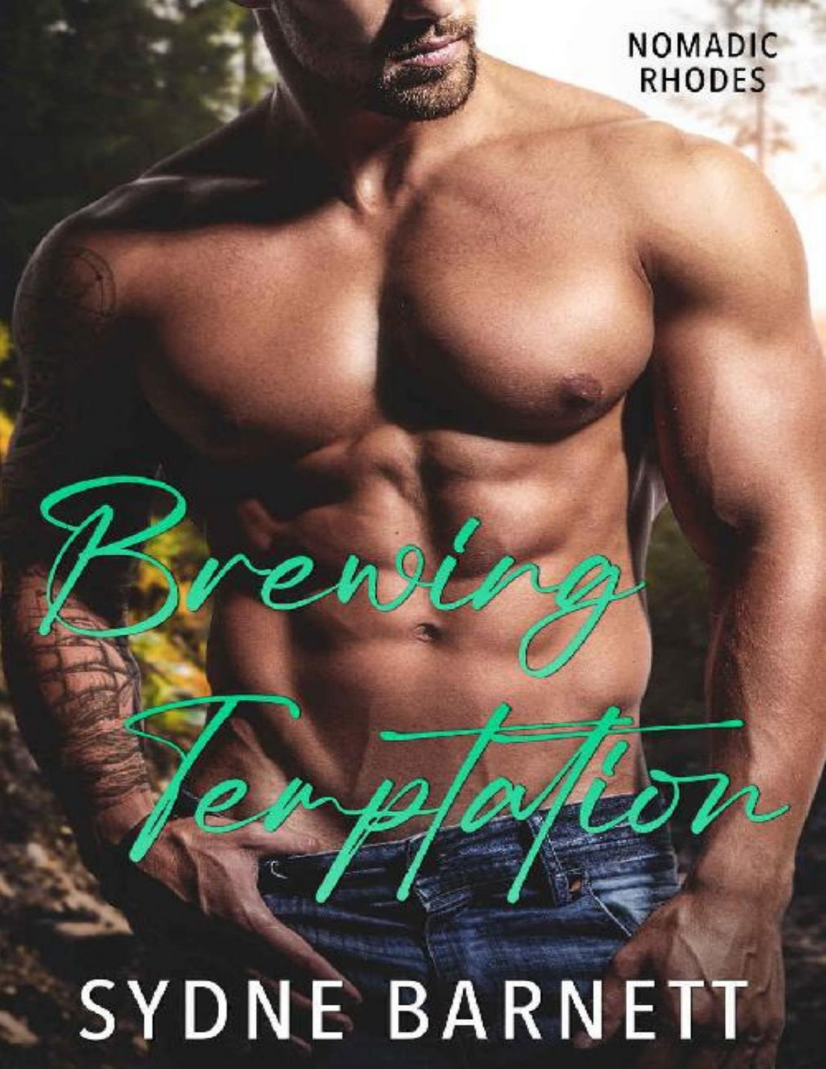 Brewing Temptation A Slow Burn Fake Dating Small Town Romance Nomadic Rhodes Sydne Barnett