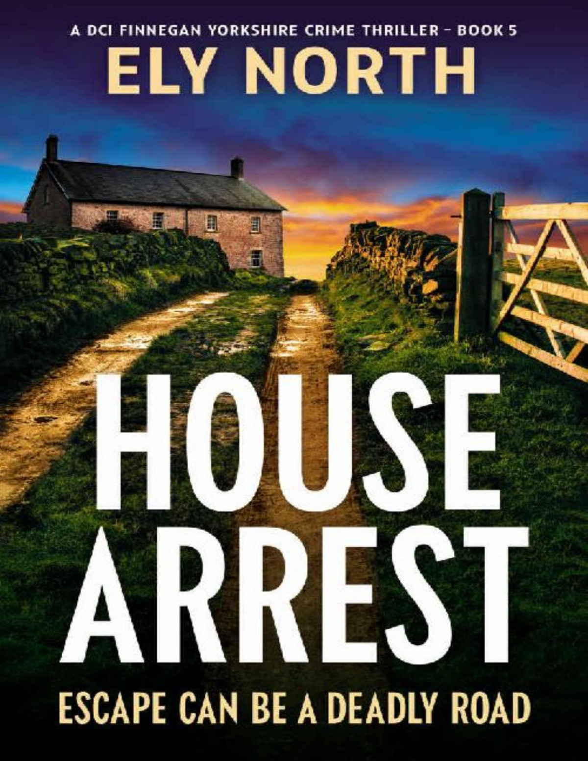 House Arrest Escape Can Be A Deadly Road A Dci Finnegan Yorkshire Crime Thriller Book 5 Ely North
