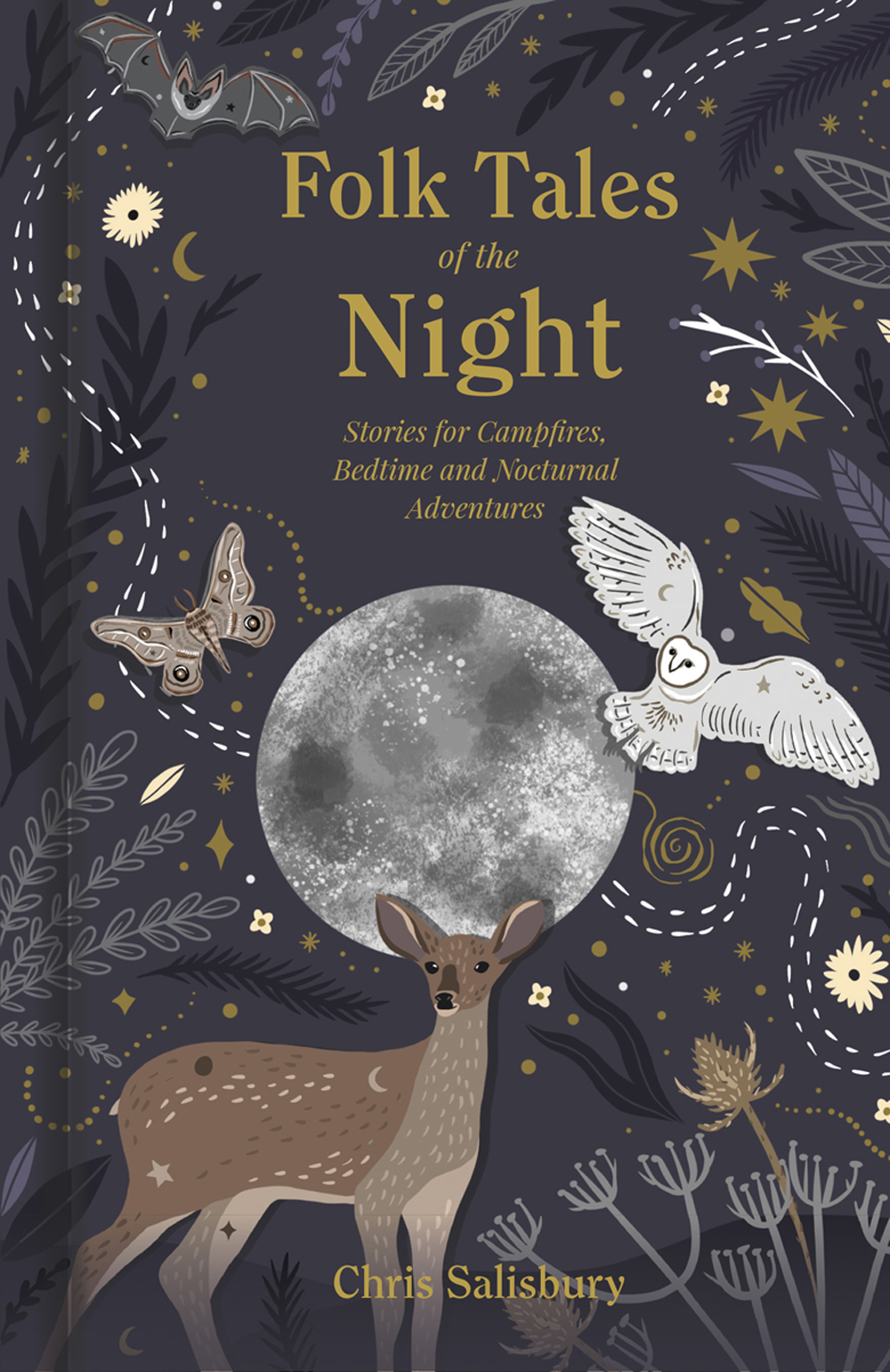 Folk Tales Of The Night Stories For Campfires Bedtime And Nocturnal Adventures Chris Salisbury