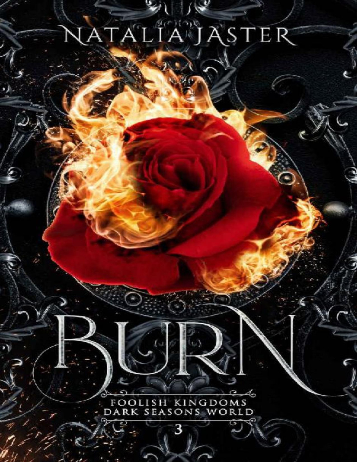 Burn Dark Seasons Foolish Kingdoms Book 3 Natalia Jaster