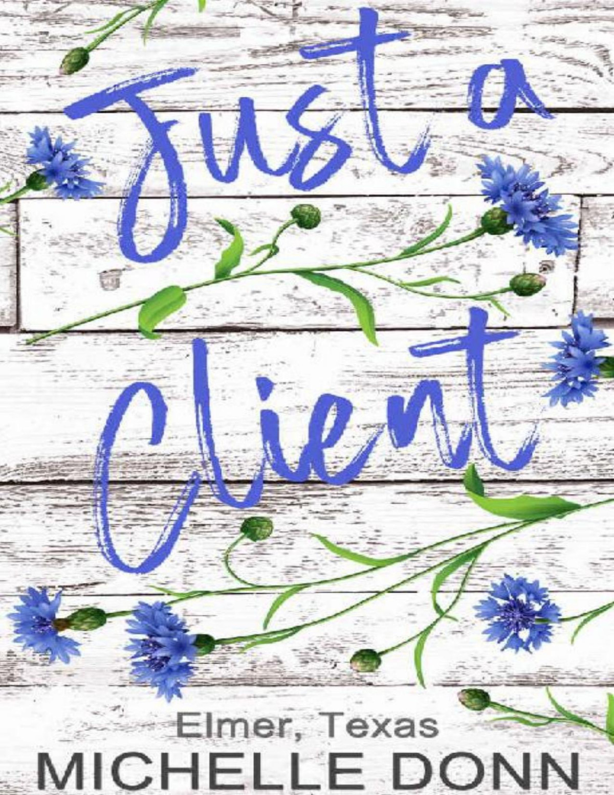 Just A Client Elmer Texas Book 1 Michelle Donn