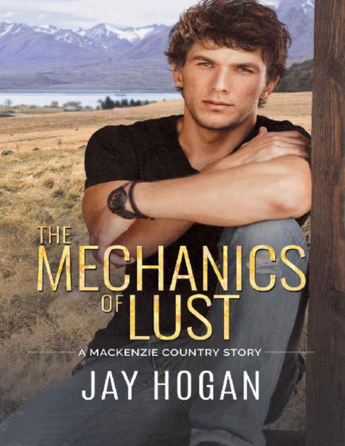 The Mechanics Of Lust A Mackenzie Country Story Jay Hogan