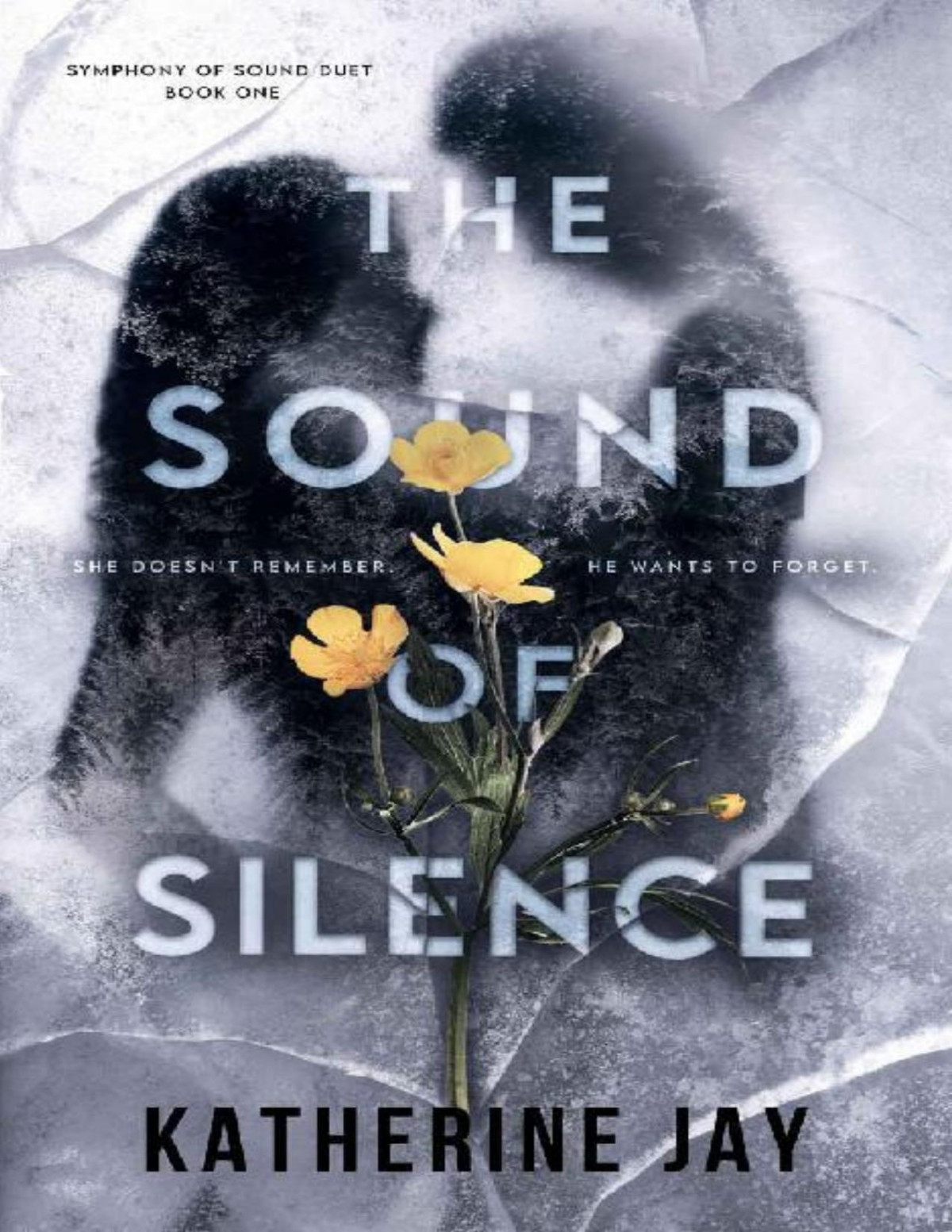 The Sound Of Silence A Small Town Romantic Suspense Katherine Jay