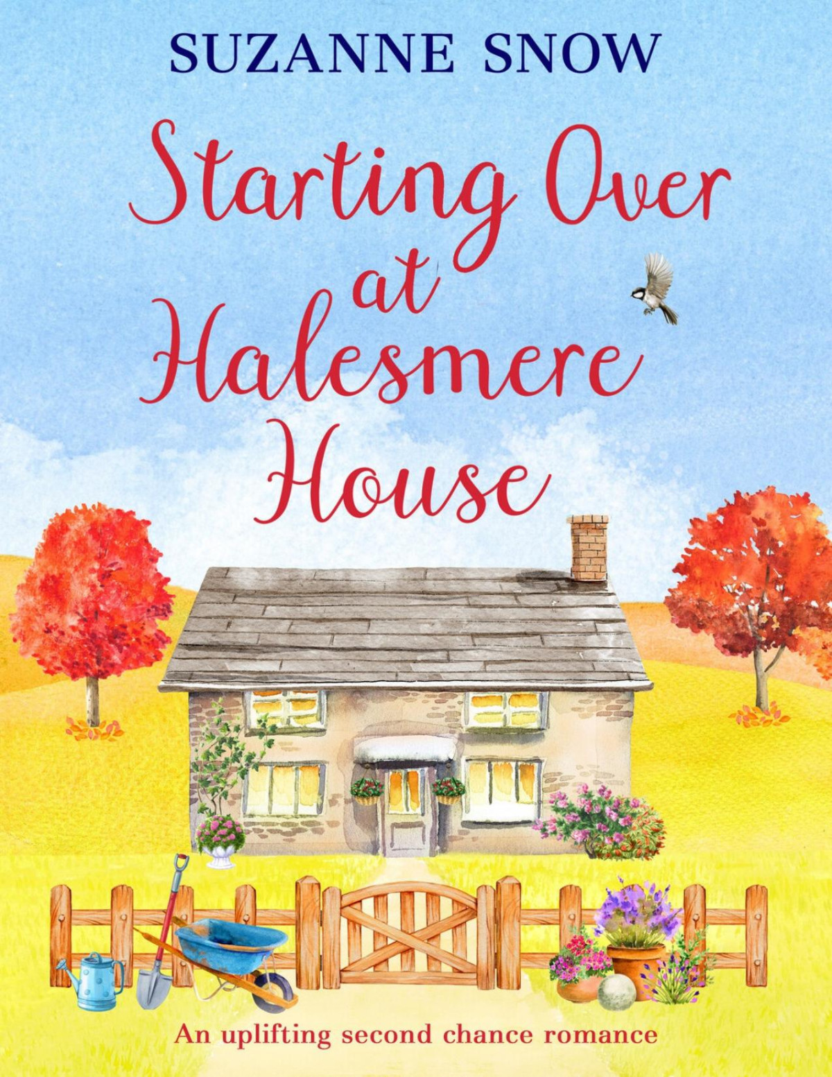 Starting Over At Halesmere House Suzanne Snow