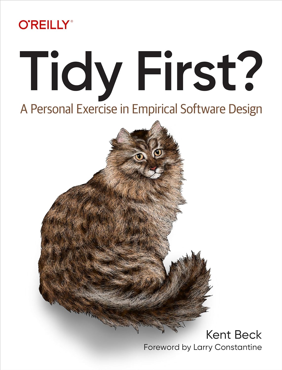 Tidy First A Personal Exercise In Empirical Software Design 1st Edition Kent Beck