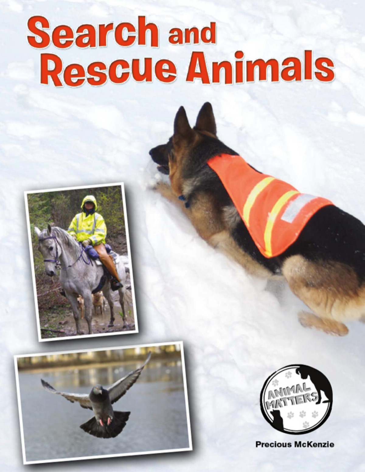 Search And Rescue Animals Precious Mckenzie
