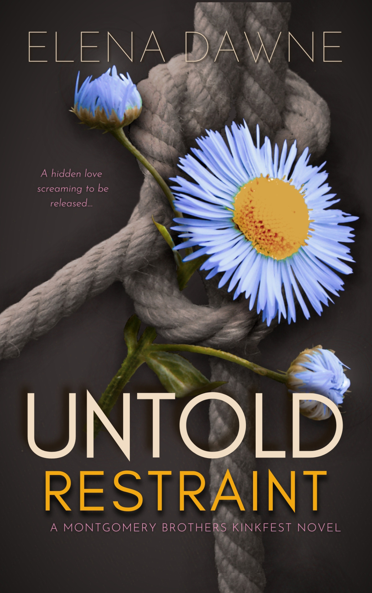 Untold Restraint Filthy Rich Kinky Book 3 1st Edition Elena Dawne
