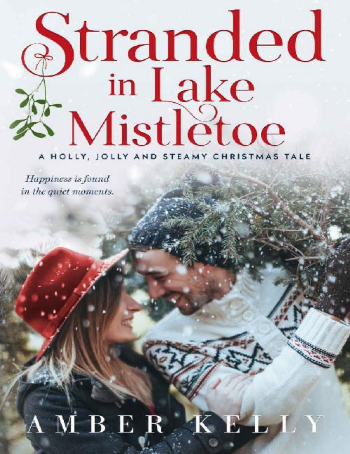 Stranded In Lake Mistletoe A Holly Jolly And Steamy Christmas Tale Amber Kelly