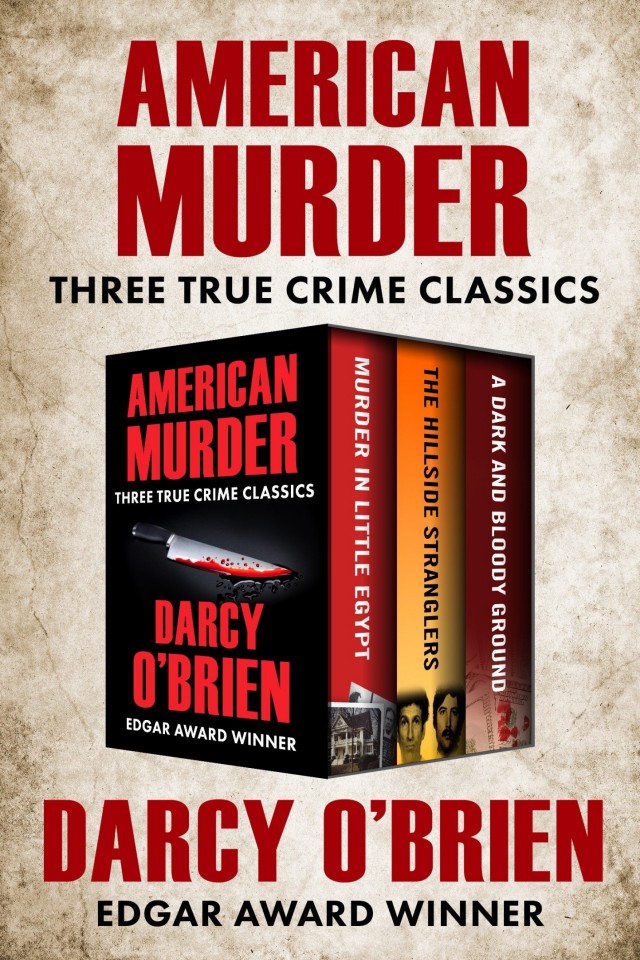 American Murder Darcy Obrien