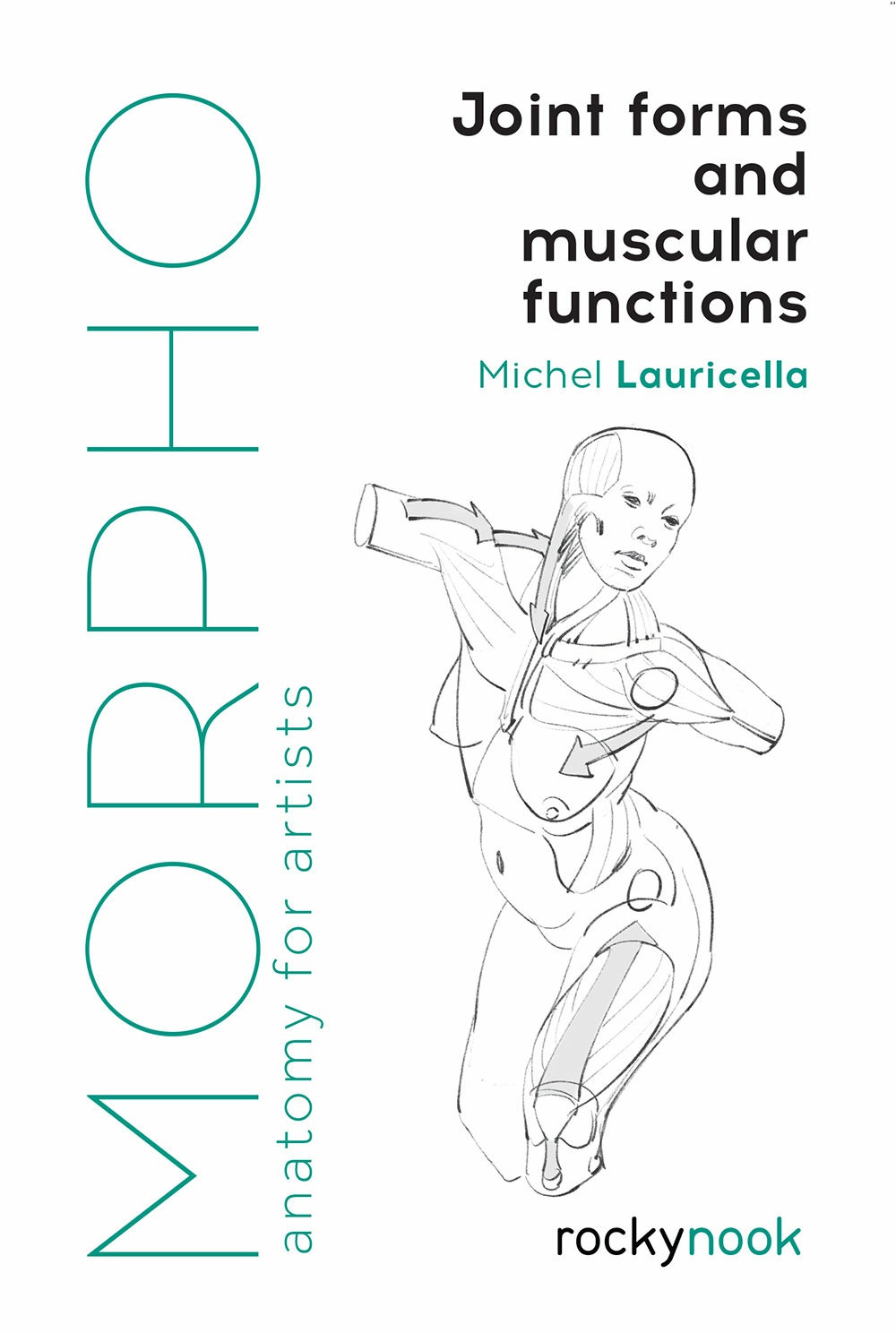 Morpho Joint Forms And Muscular Functions Anatomy For Artists Michel Lauricella