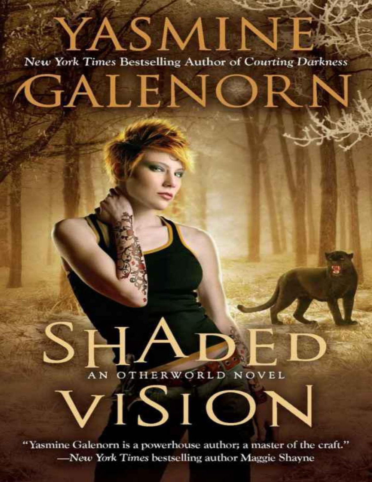 Shaded Vision An Otherworld Novel Galenorn Yasmine