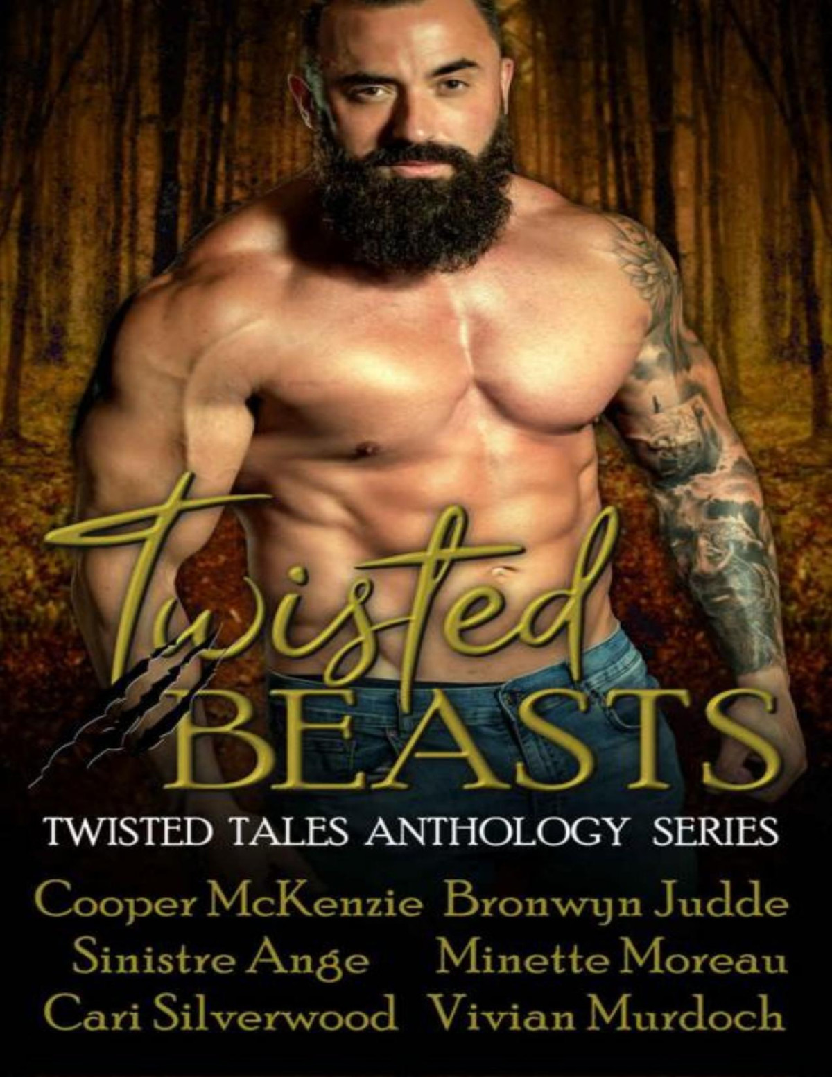 Twisted Beasts A Pnr Shifter Fairy Tale And Fable Retelling Collection Vivian Murdoch Sinistre Ange Cooper Mckenzie Bronwyn Judde Cari Silverwood Minette Moreau