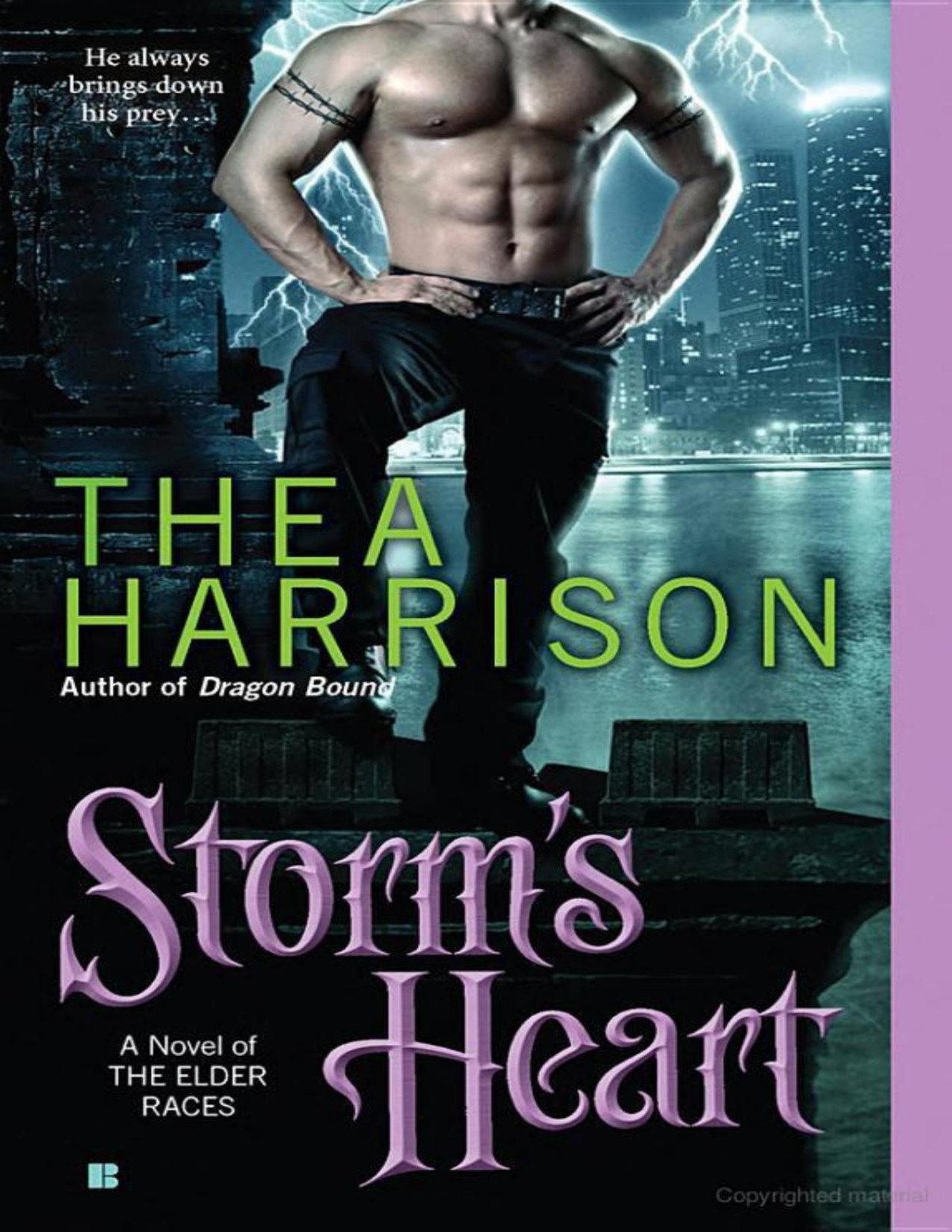 Storms Heart Thea Harrison