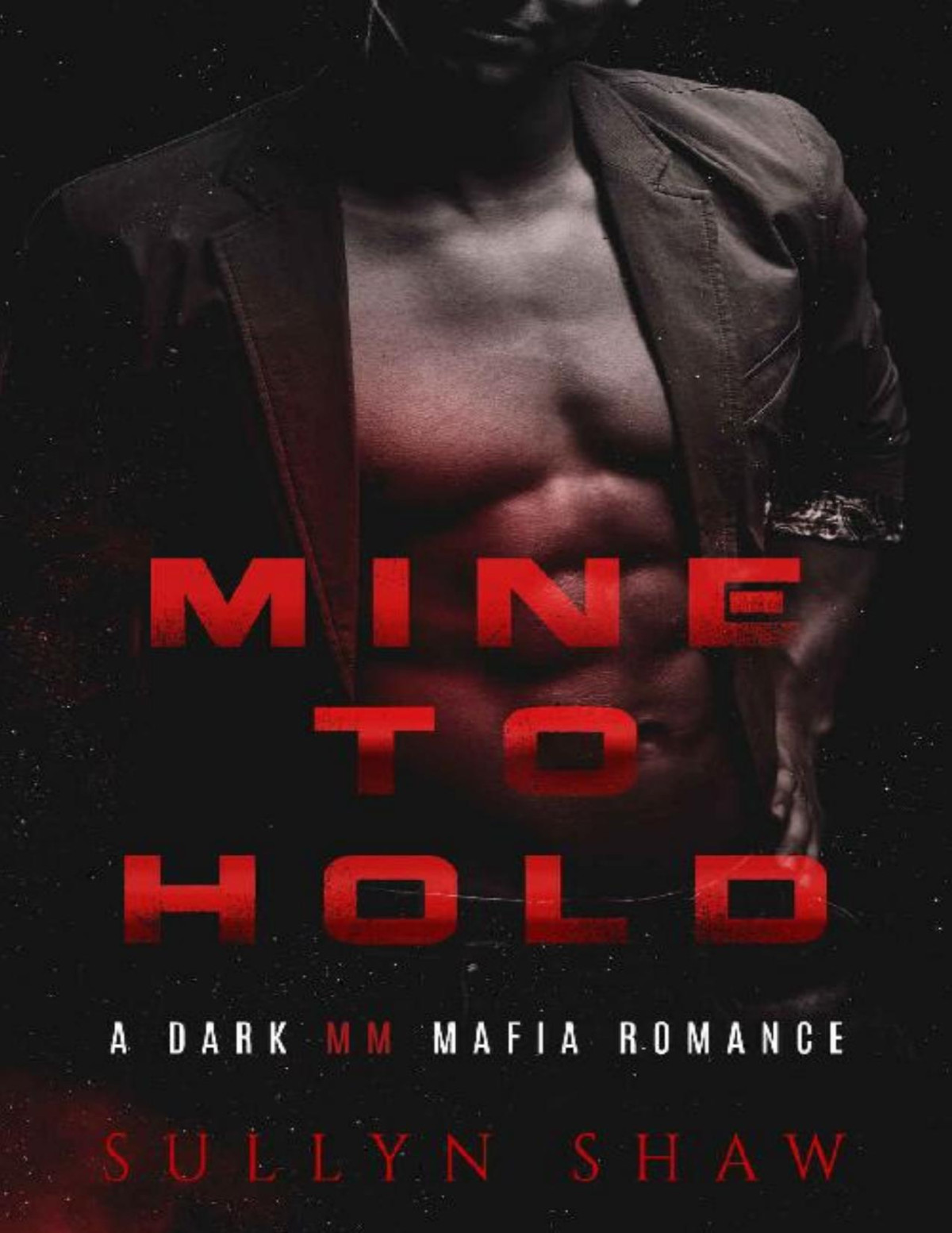Mine To Hold A Dark Mm Mafia Romance Novella Sullyn Shaw