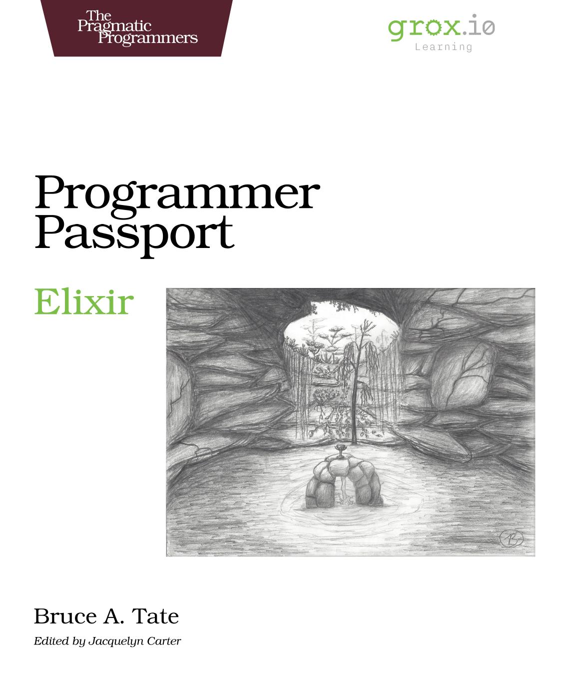 Programmer Passport Elixir P10 Bruce Tate