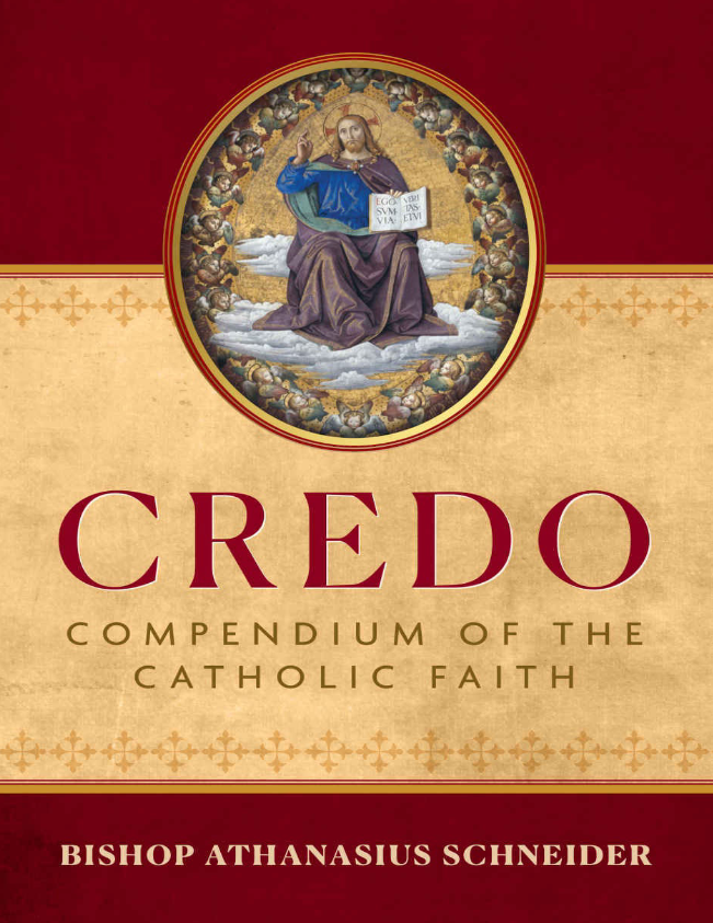 Credo Compendium Of The Catholic Faith Athanasius Schneider