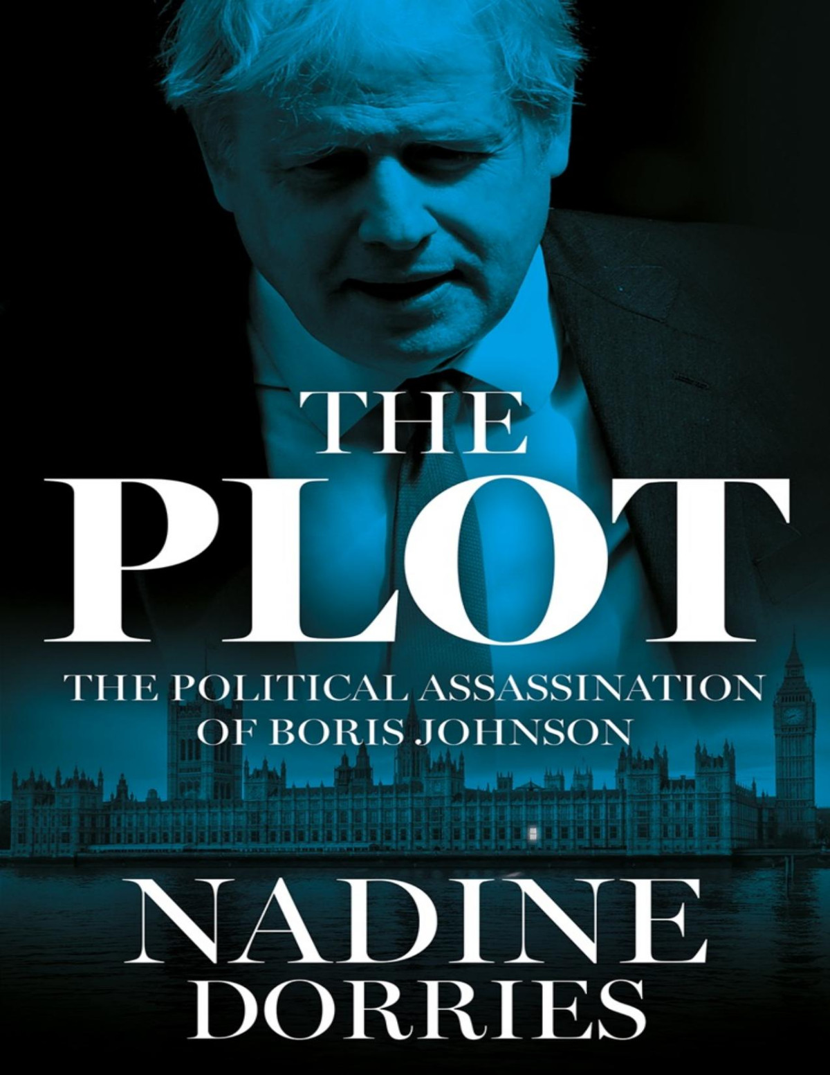 The Plot Nadine Dorries