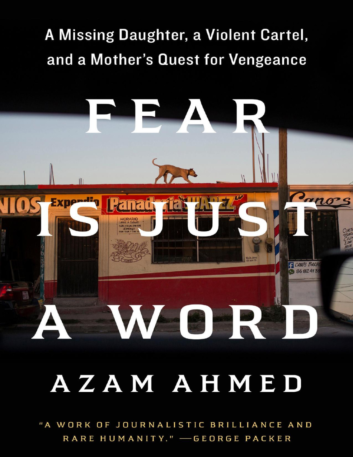 Fear Is Just A Word A Missing Daughter A Violent Cartel And A Mothers Quest For Vengeance Azam Ahmed
