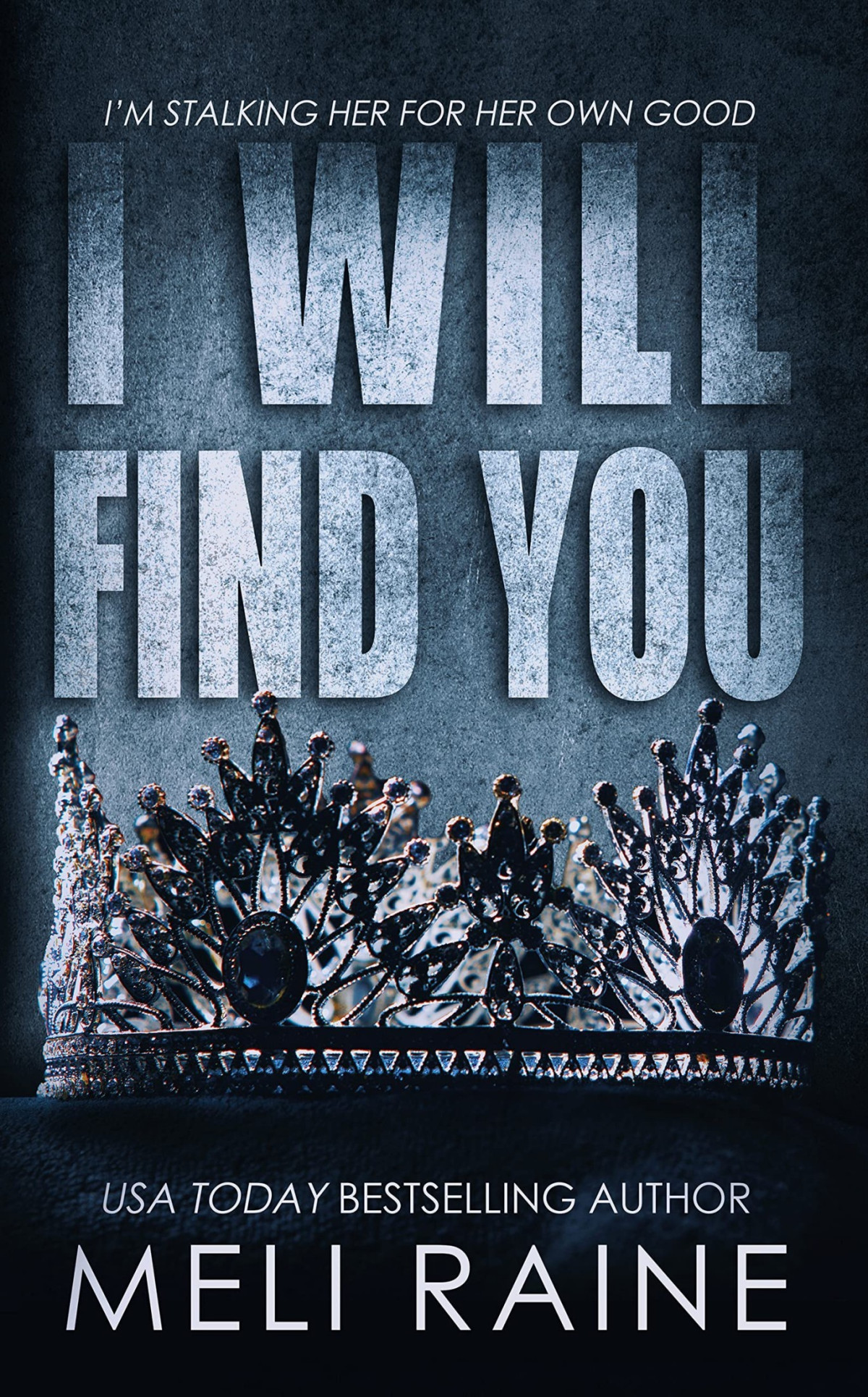 I Will Find You Kindle Meli Raine