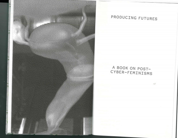 Producing Futures A Book On Postcyberfeminisms Heike Munder