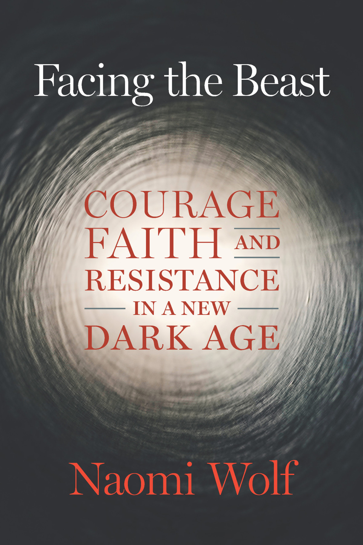Facing The Beast 1st Edition Naomi Wolf