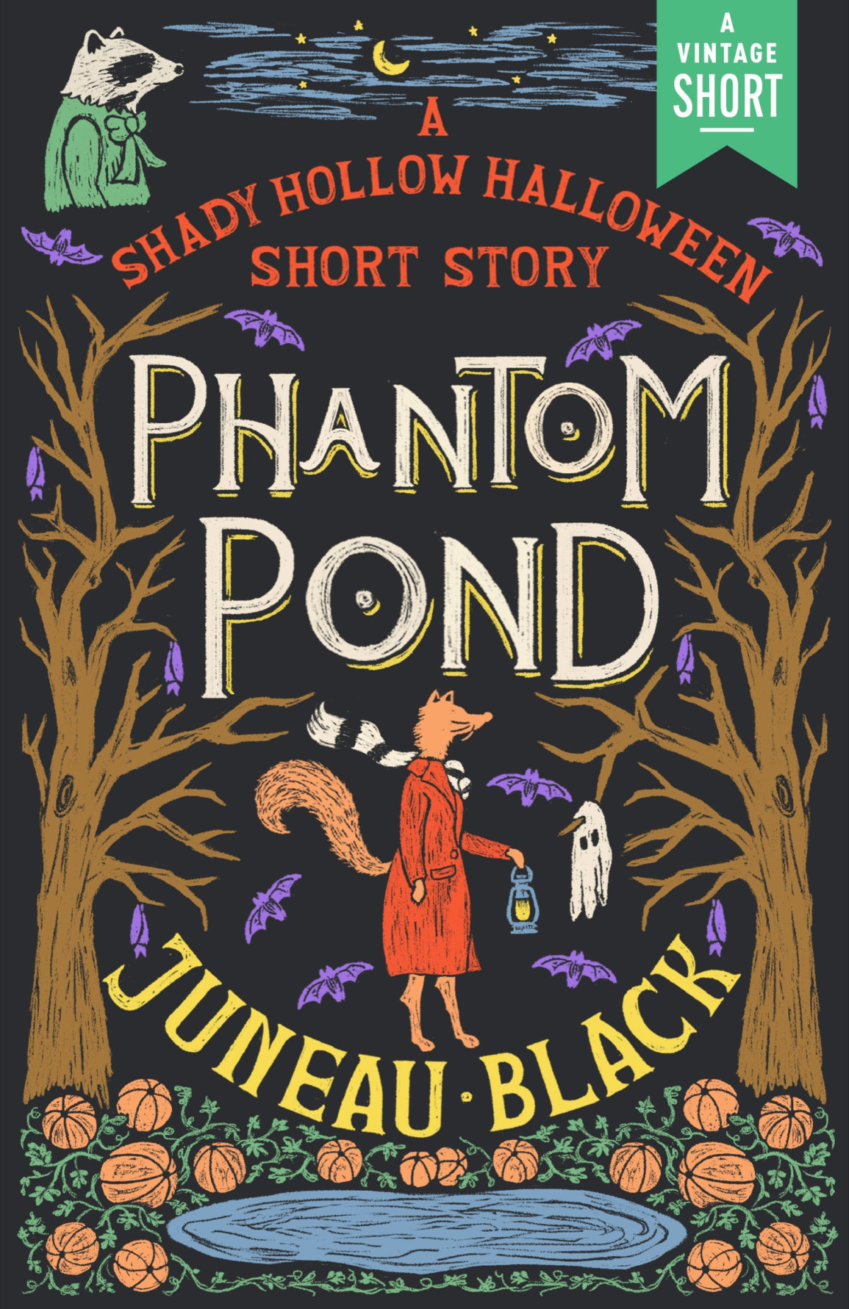 Phantom Pond Juneau Black