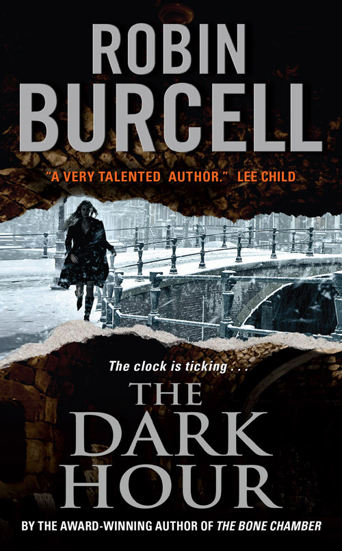 The Dark Hour Robin Burcell