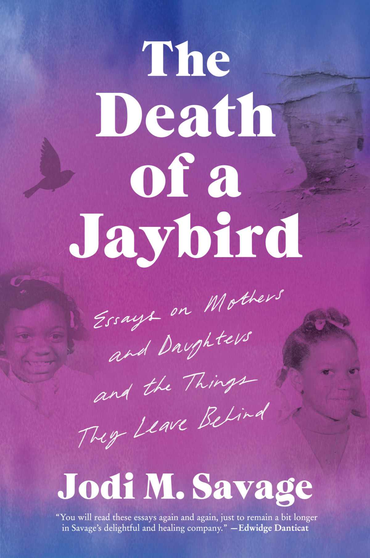 The Death Of A Jaybird Essays On Mothers And Daughters And The Things They Leave Behind Jodi M Savage