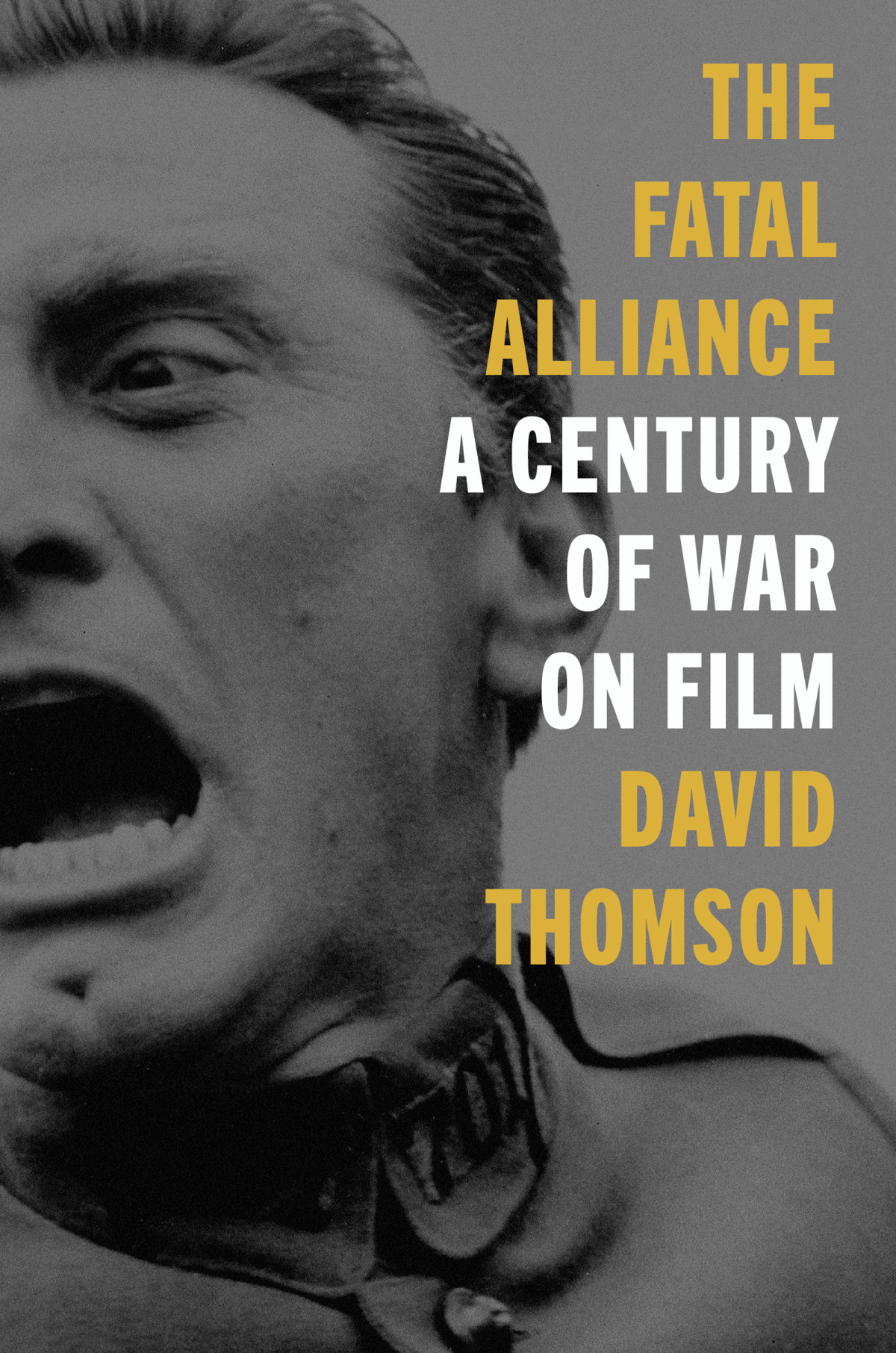 The Fatal Alliance A Century Of War On Film David Thomson