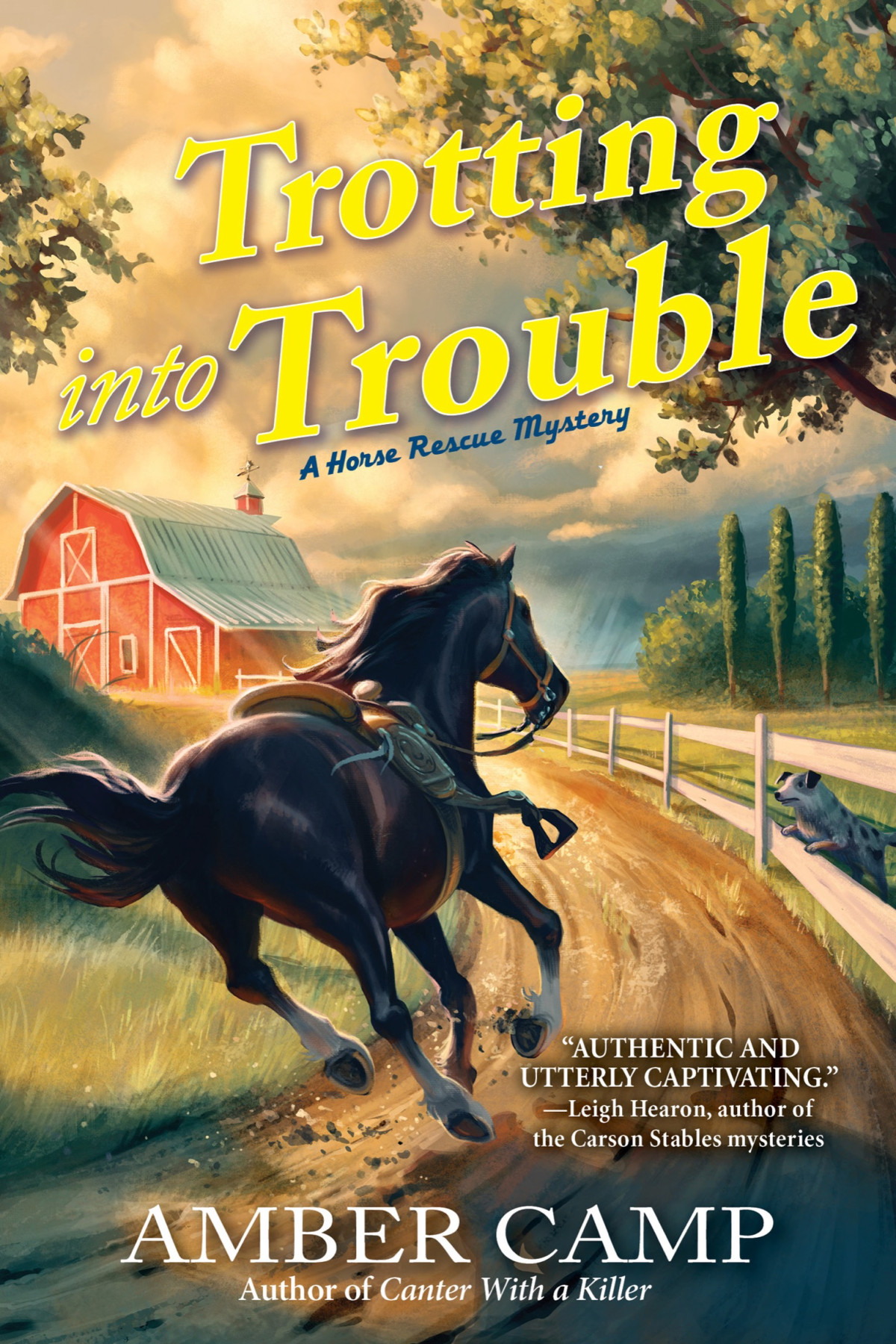 Trotting Into Trouble Amber Camp