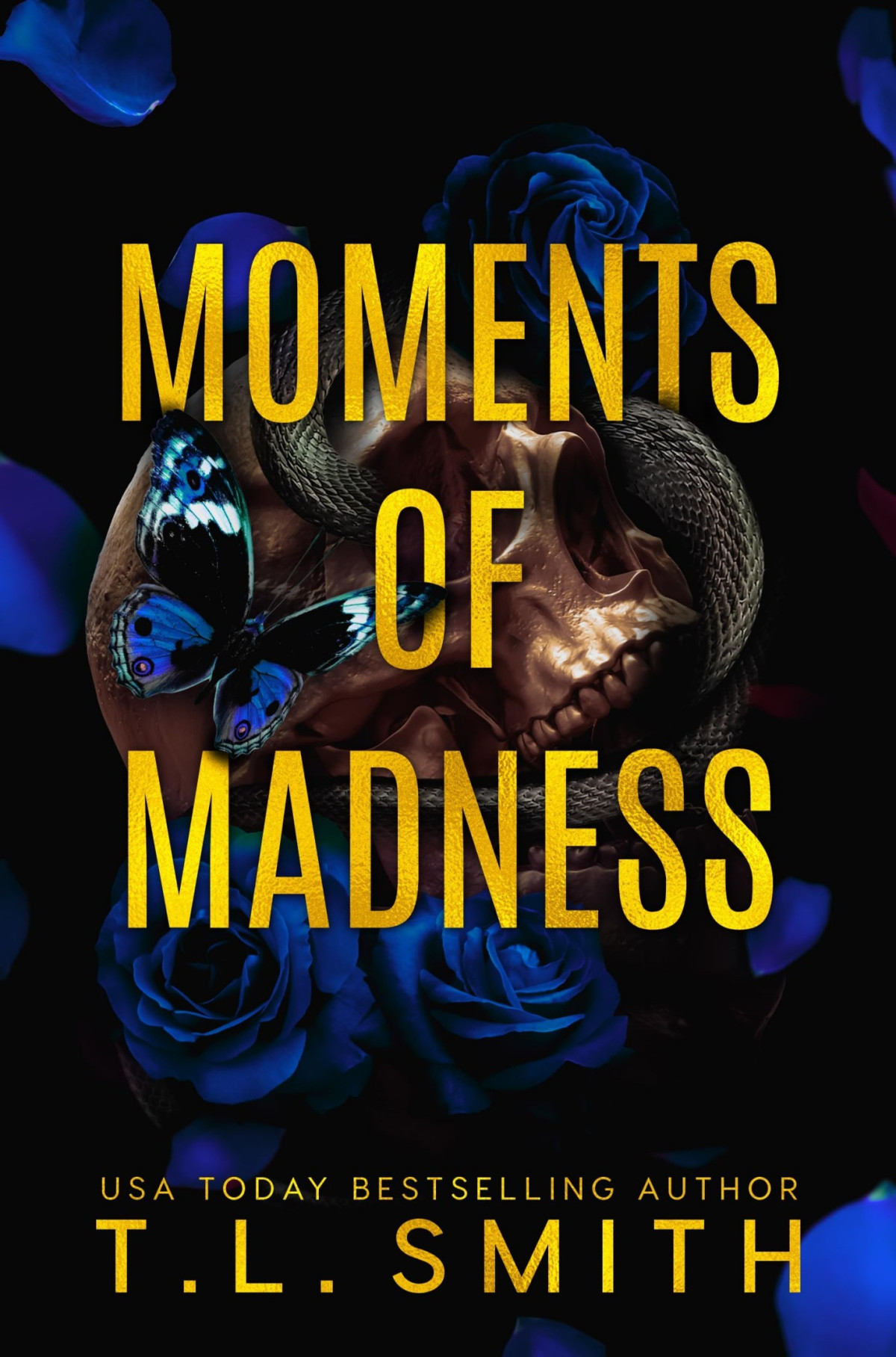 Moments Of Madness T L Smith