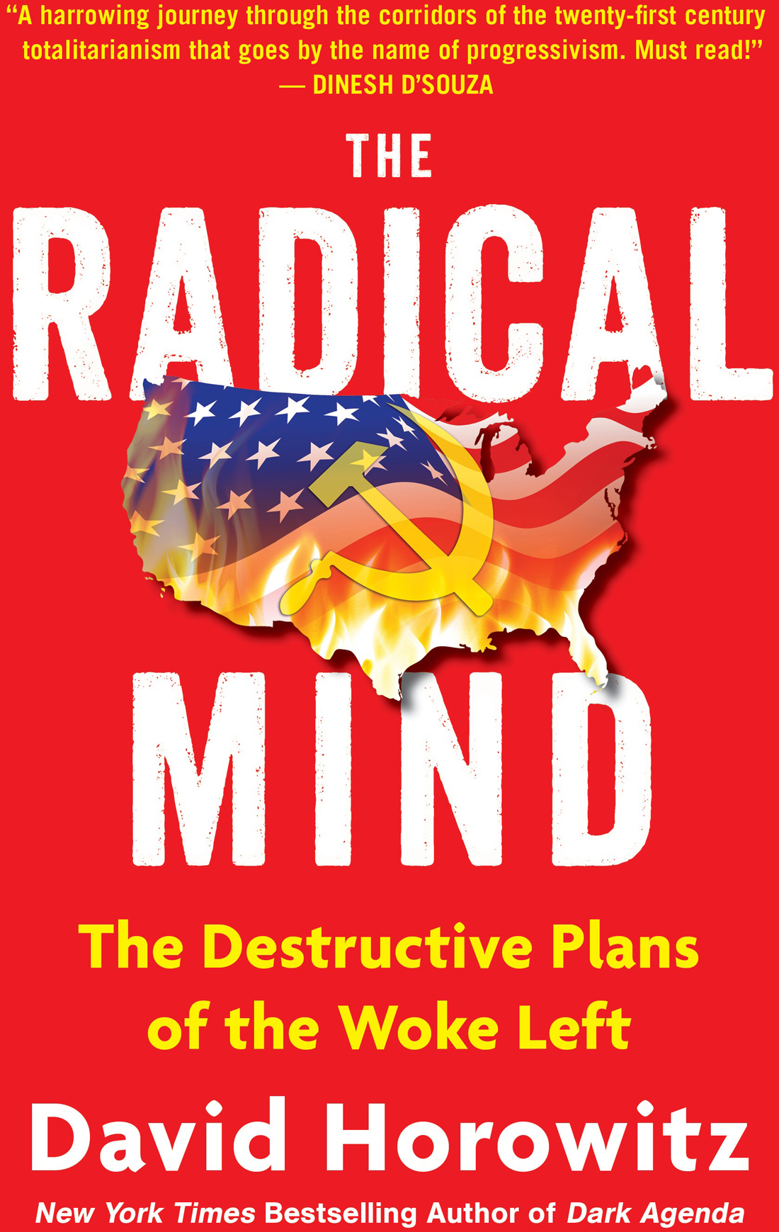The Radical Mind The Destructive Plans Of The Woke Left David Horowitz