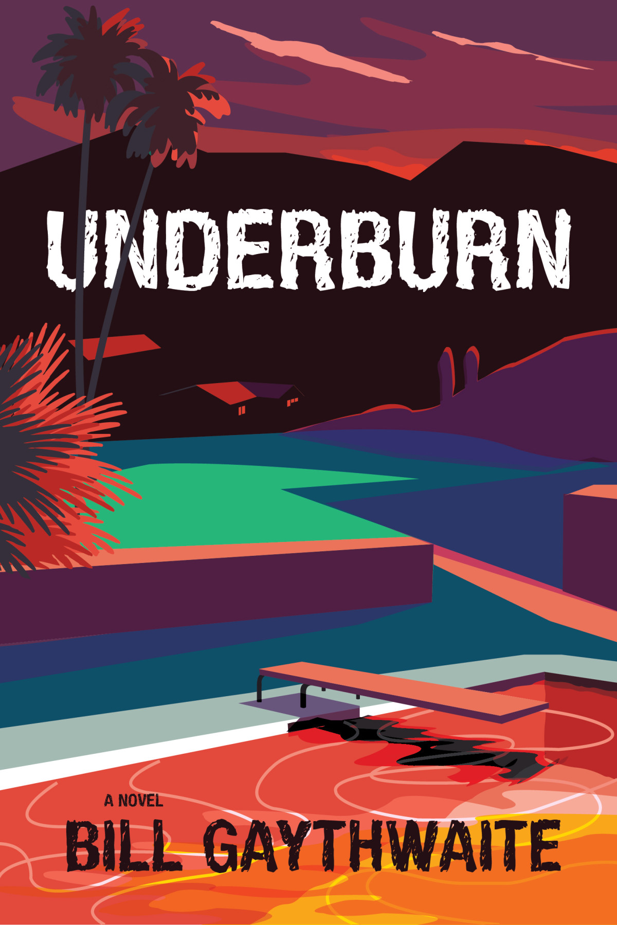 Underburn A Novel 1st Edition Bill Gaythwaite