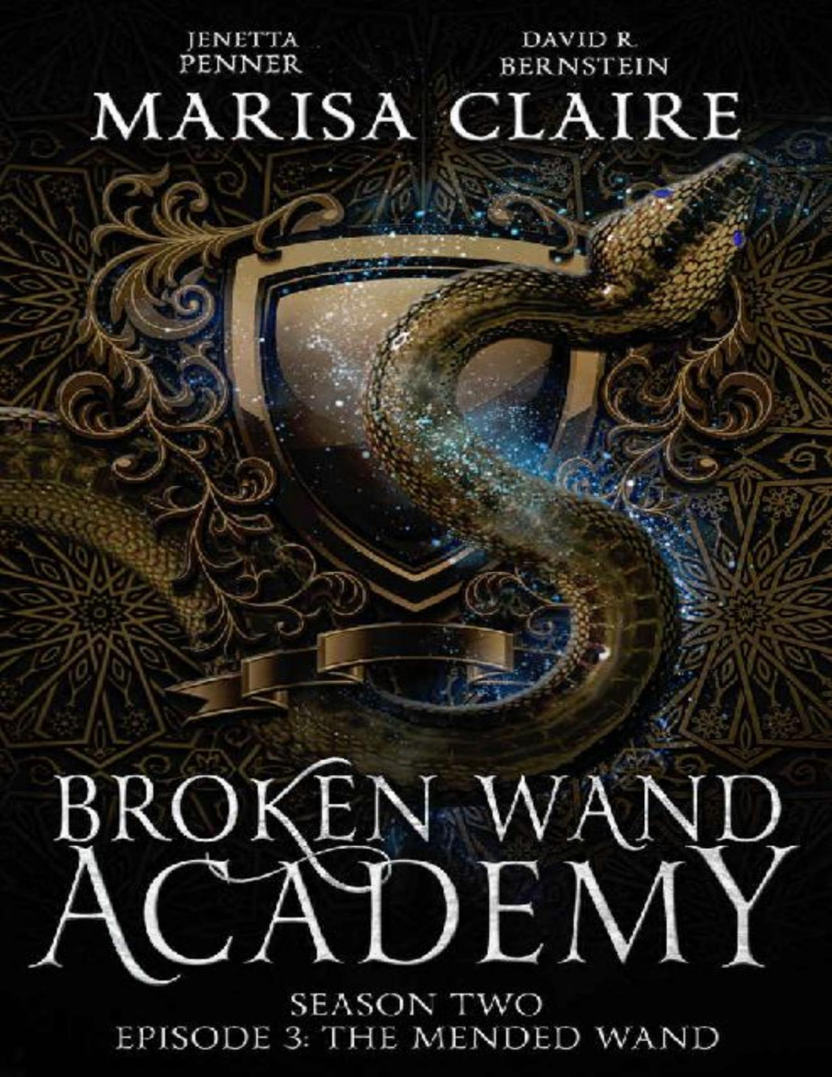 The Mended Wand Veiled World Marisa Claire David R Bernstein Jenetta Penner