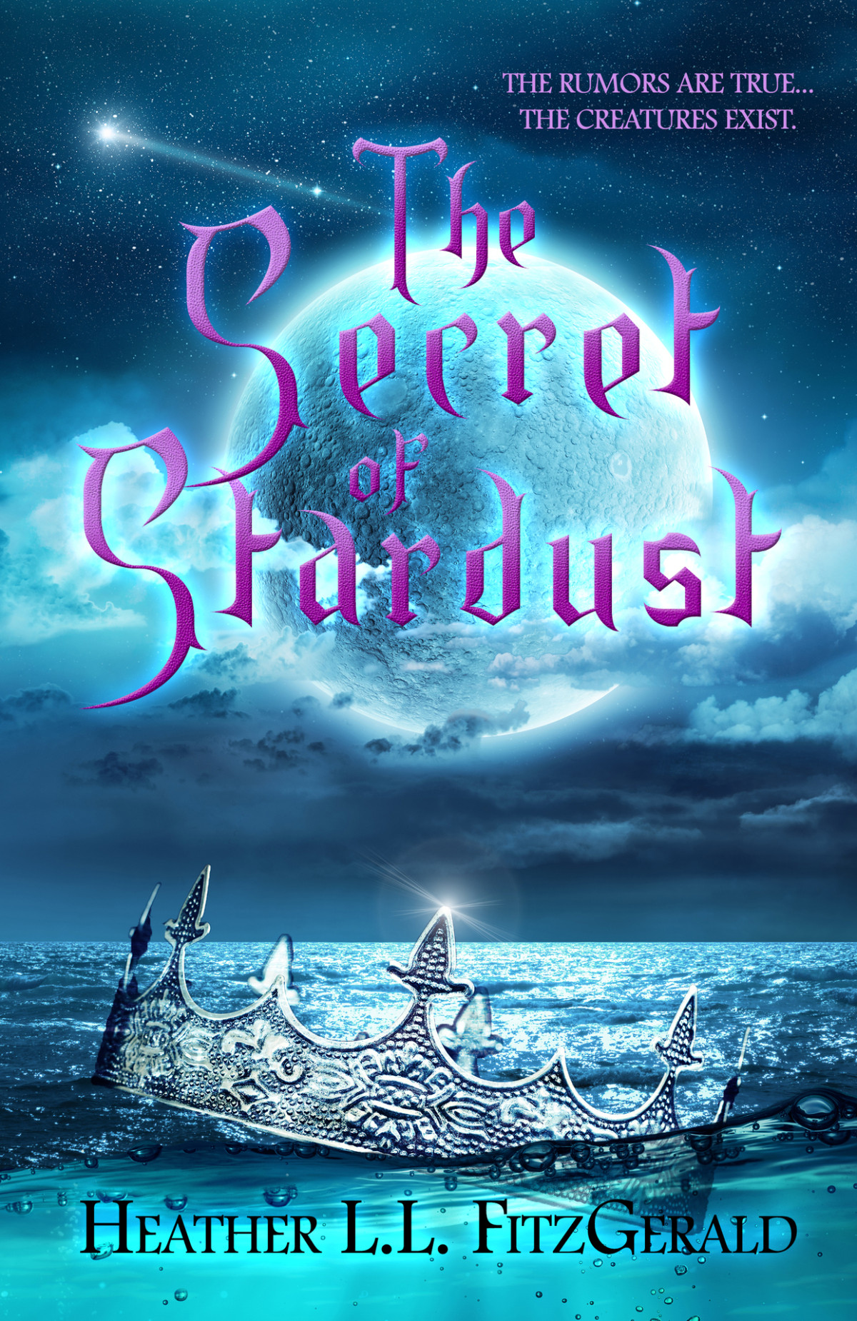 The Secret Of Stardust Heather L L Fitzgerald