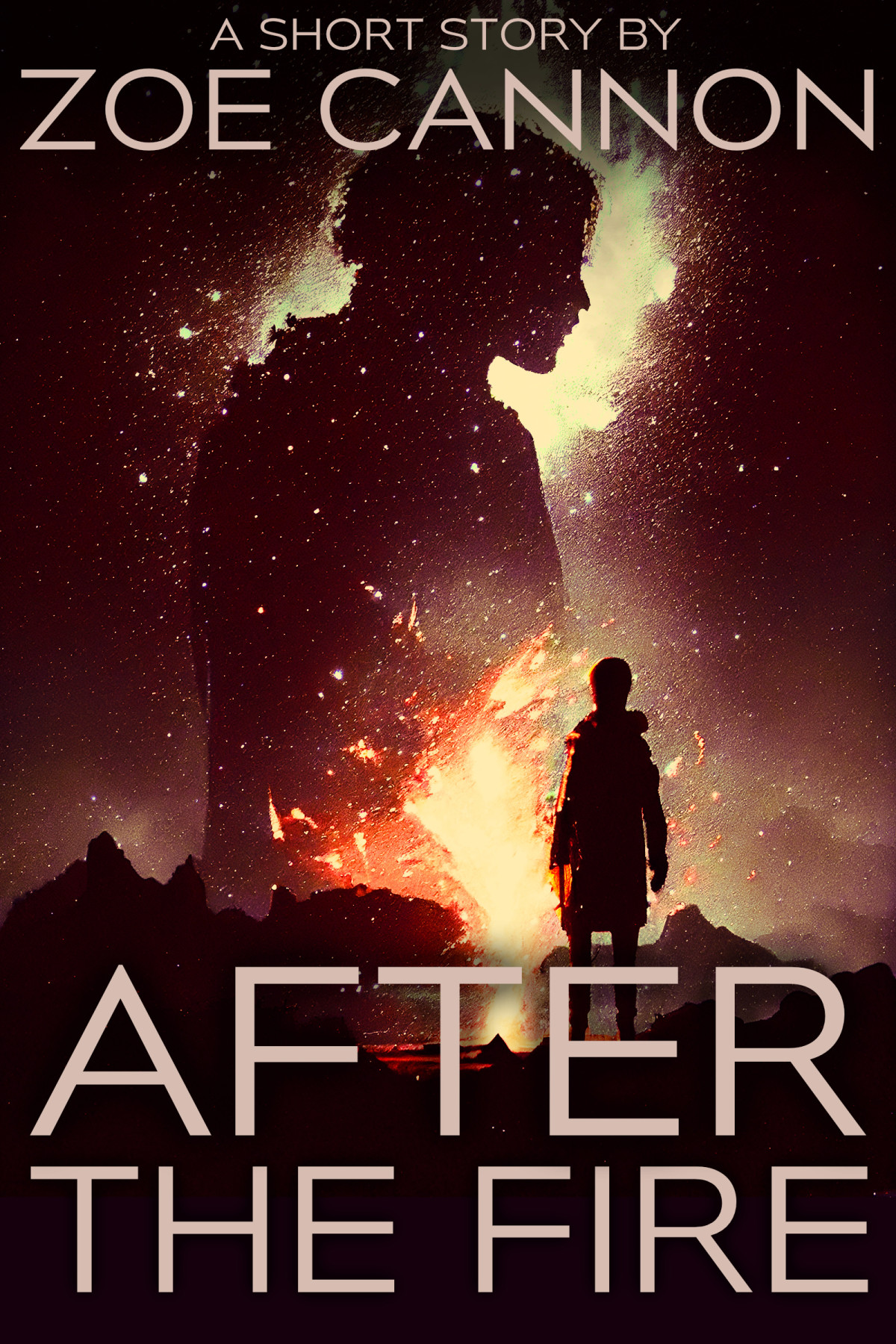 After The Fire Zoe Cannon