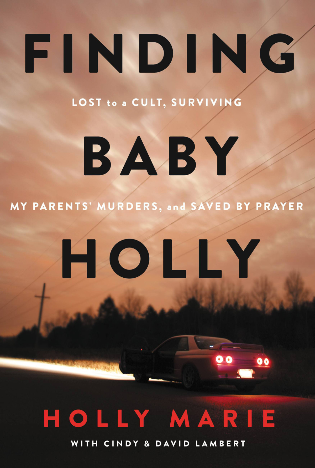 Finding Baby Holly Holly Marie