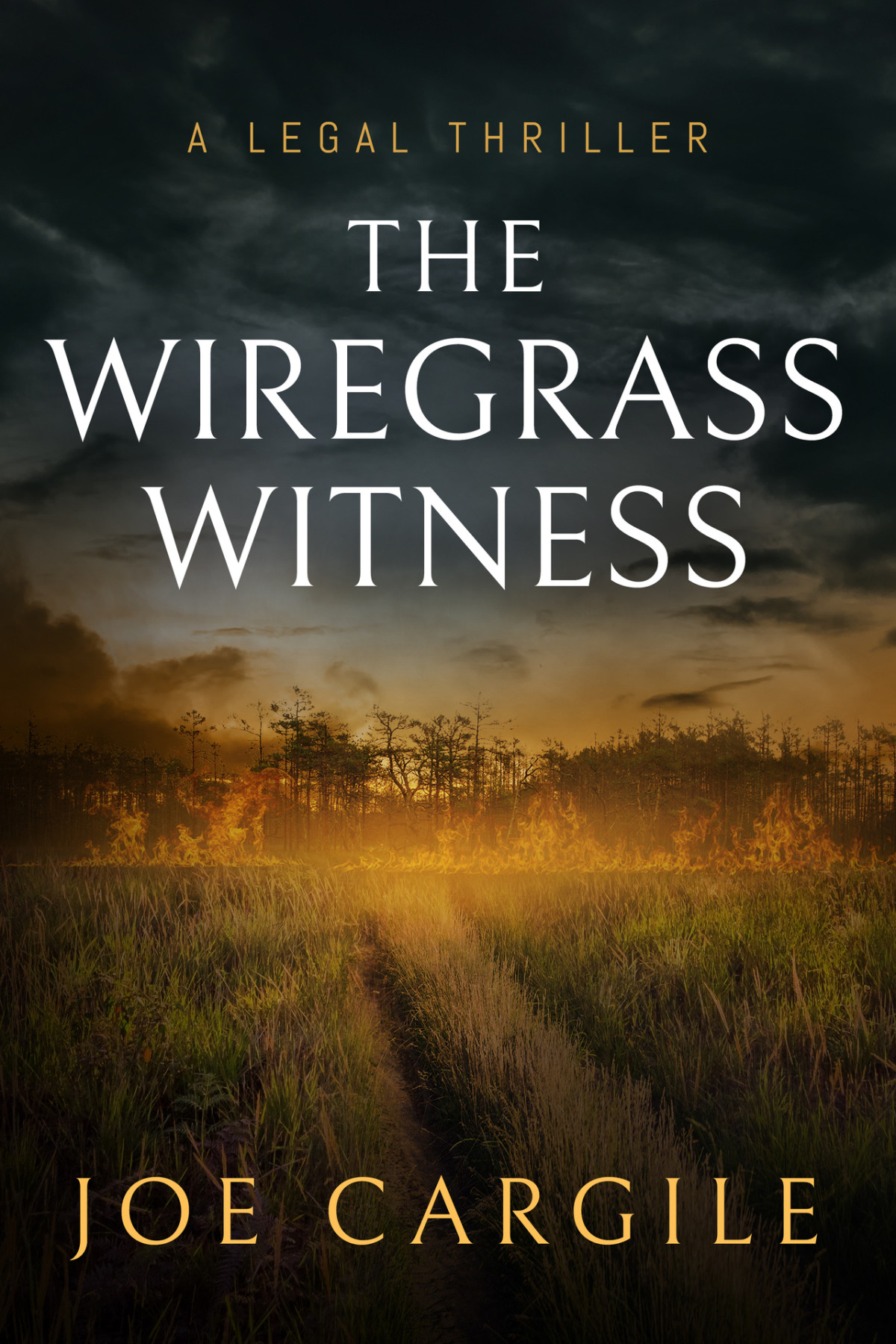 The Wiregrass Witness A Legal Thriller Blake County Legal Thrillers Book 3 Cargile