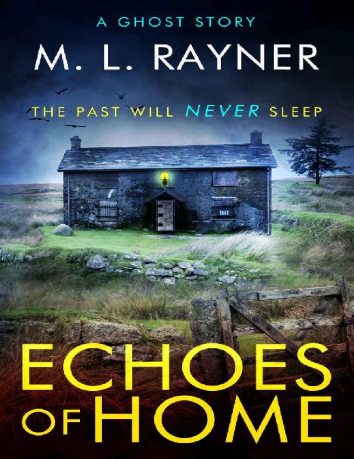 Echoes Of Home A Ghost Story M L Rayner