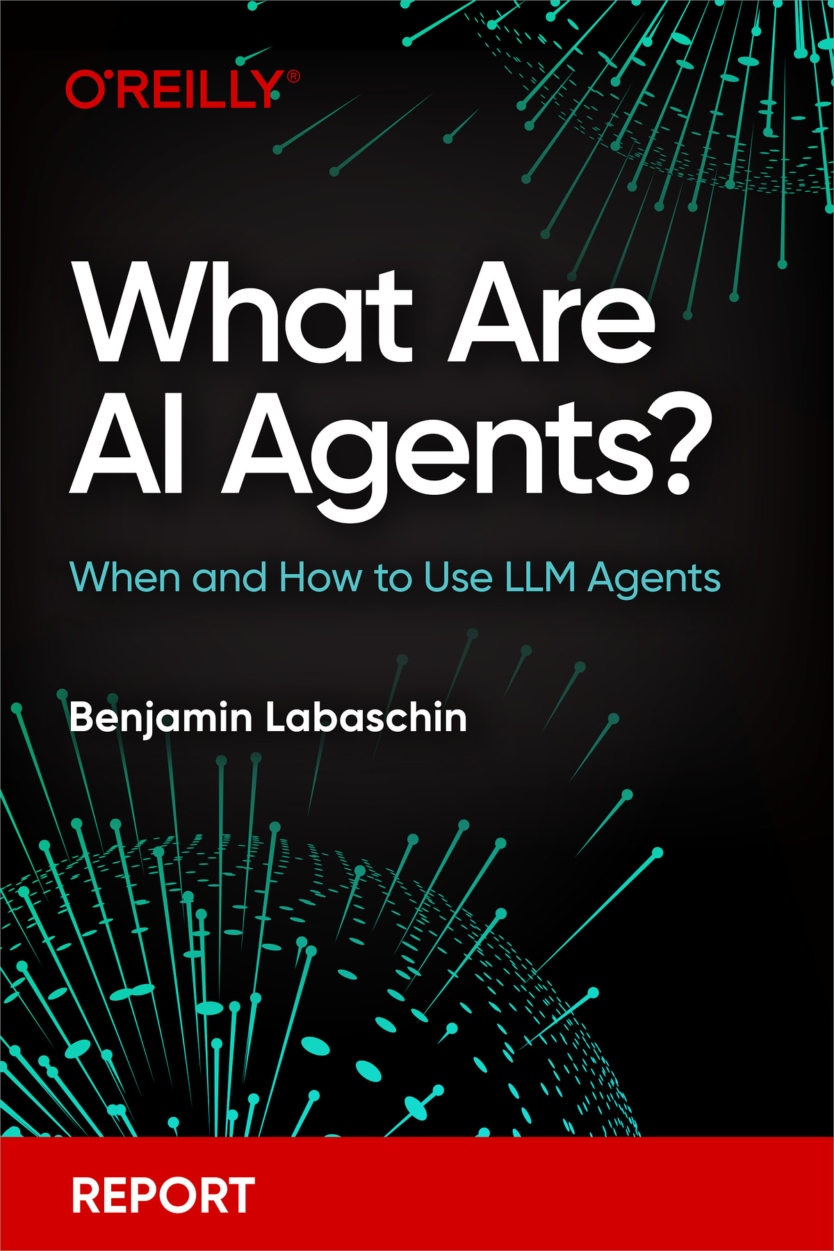 What Are Ai Agents Benjamin Labaschin